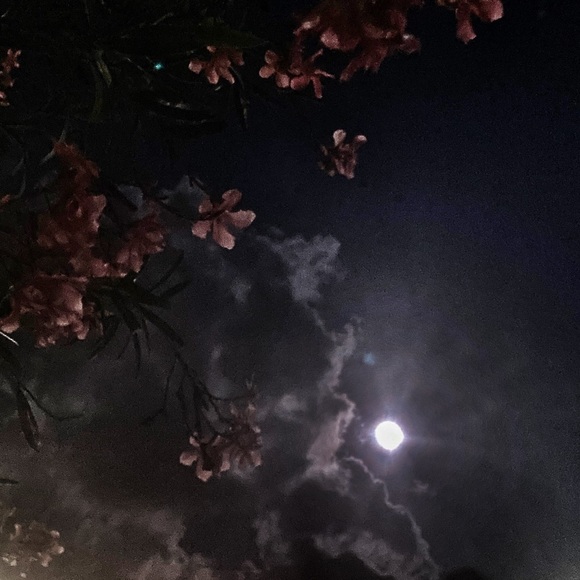 Meet your Posher, Dee! - Picture 12 of 15